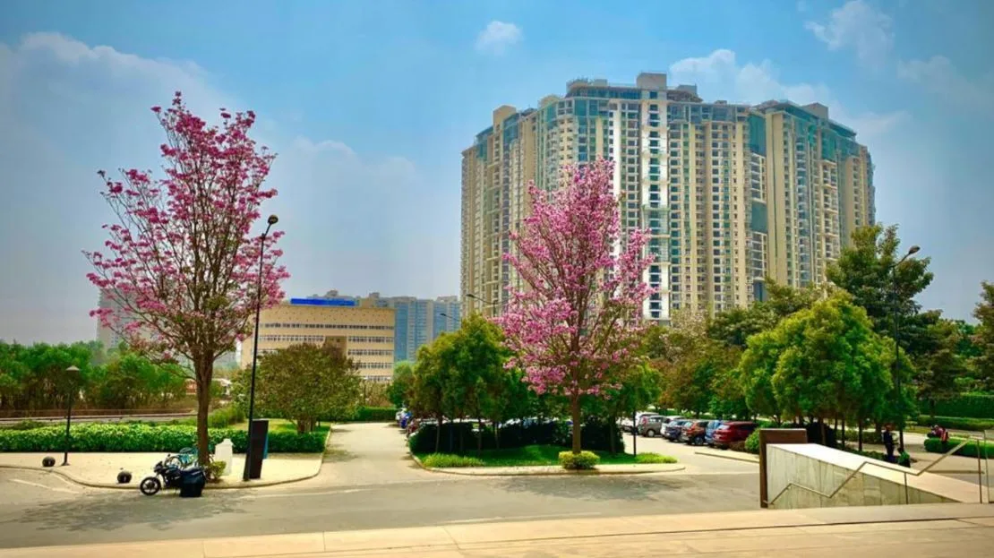 Nikoo Homes 5 Phase 2 – Project Details & Highlights